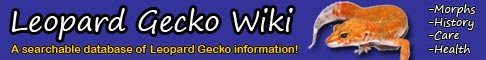486x60 Leopard Gecko Wiki Banner